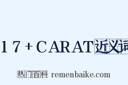 17+CARAT近义词是什么意思的图片